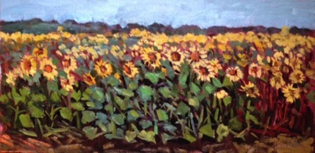Maypearl Sunflowers
